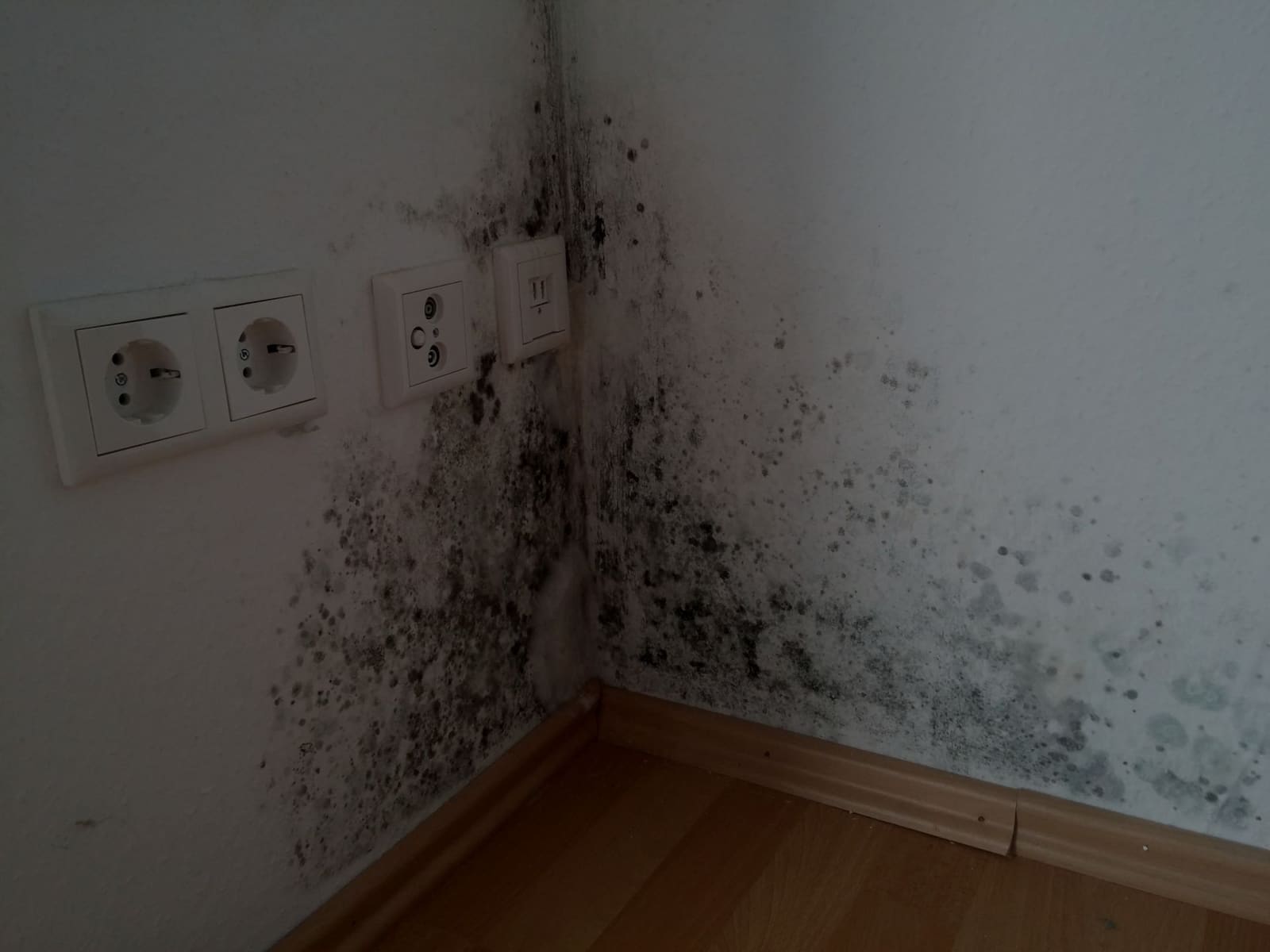 How Does Mold Remediation Work? A Comprehensive Guide to Its Benefits