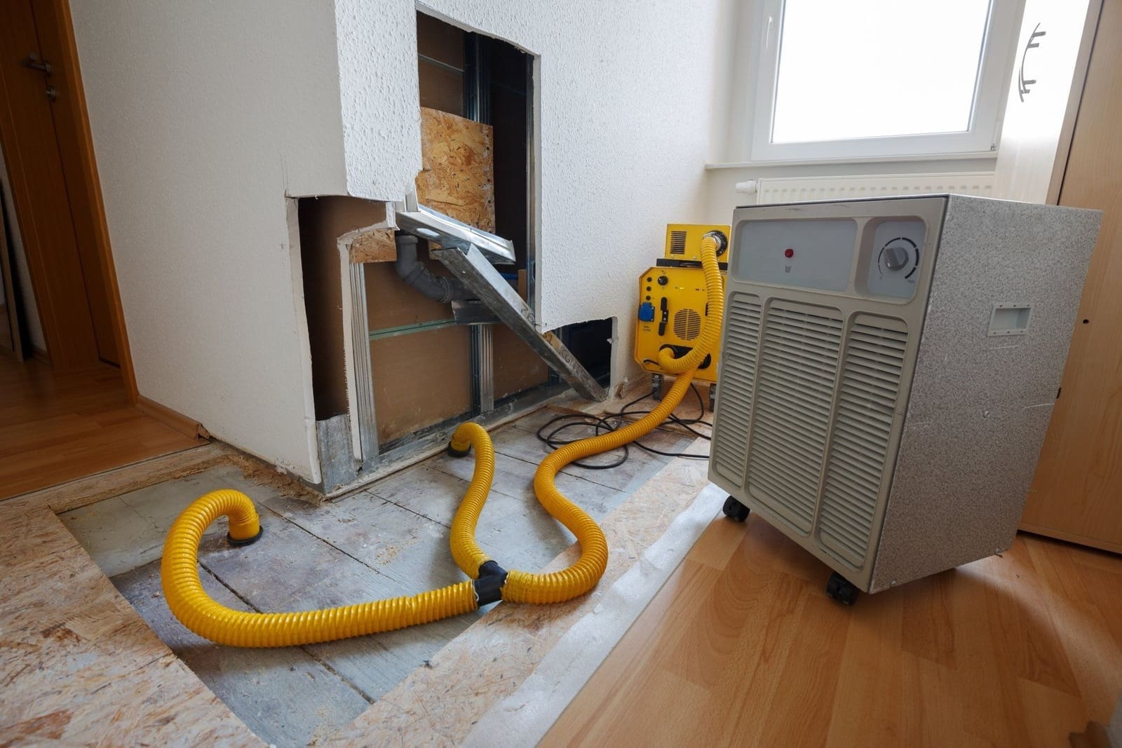 Why Hiring a Water Damage Expert Is Worth the Investment for Your Home