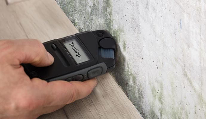 A person is using a mould detector on a wall.
