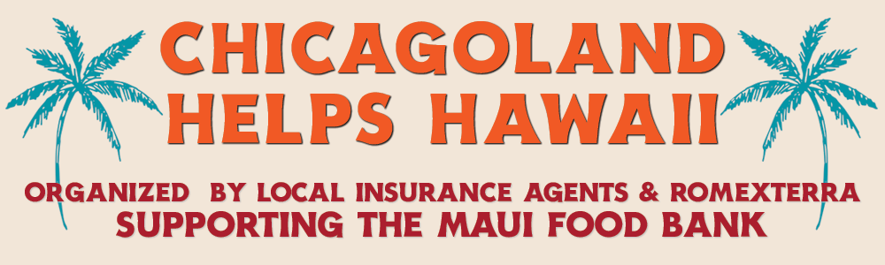 A logo for chicagoland helps hawaii with palm trees